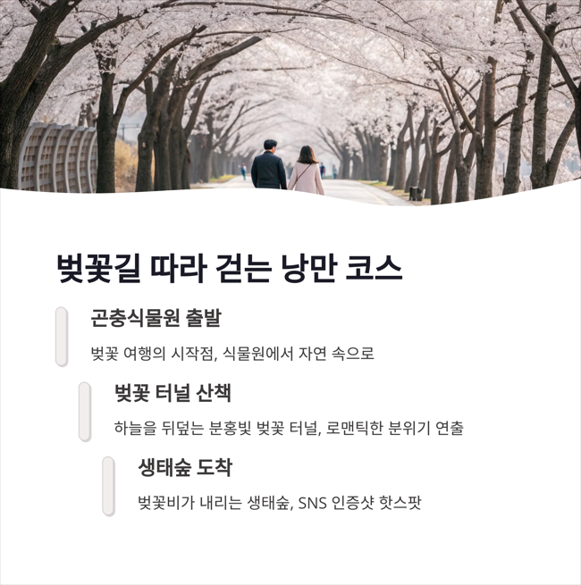 벚꽃길 따라 걷는 낭만 코스