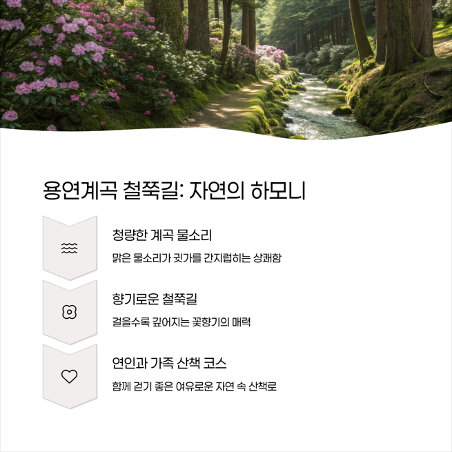 용연계곡 철쭉길 - 물소리와 꽃향기의 조화
