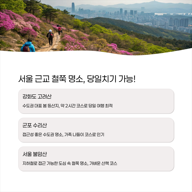 서울 근교 철쭉 명소 - 대중교통으로도 쉽게 가는 곳