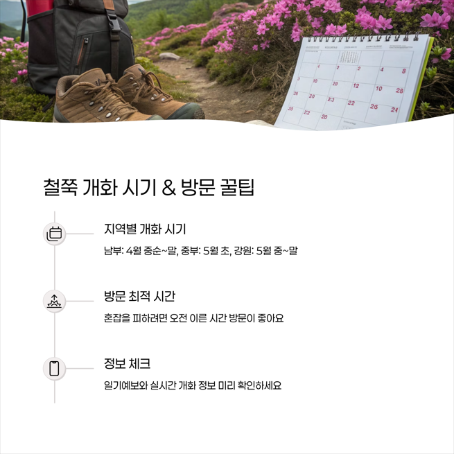 철쭉 개화 시기와 방문 꿀팁 - 언제, 어떻게 가야 할까?